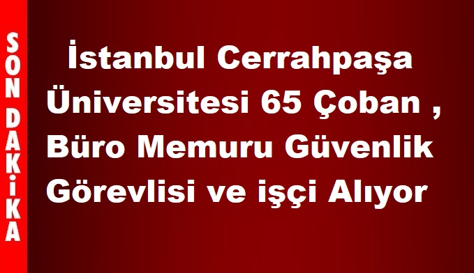 İstanbul Üniversitesi Çoban ,Büro Memuru Güvenlik Görevlisi ve işçi Alıyor