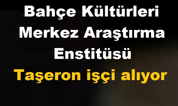 Atatürk Bahçe Kültürleri Merkez Araştırma Enstitüsü Taşeron işçi kamudan kariyer ilanı