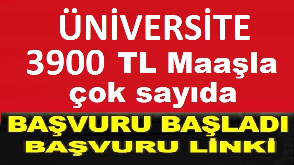 Mehmetbey Üniversitesi yeni işçi ve 13 personel alacak.
