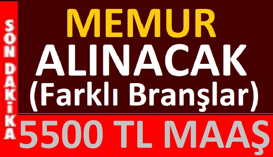Bursa Osmangazi Belediyesi 15 memur alacak. Son başvuru tarihi 14 Haziran 2021.