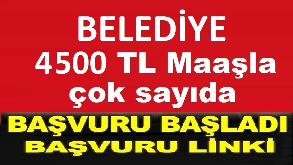 Türkeli Belediyesi 9 işçi alacaktır! işte kadrolar!