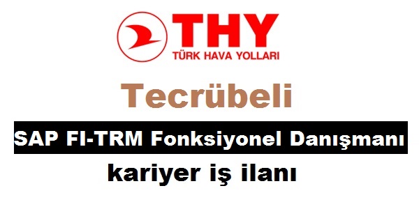 Türk Hava Yolları THY SAP FI-TRM Fonksiyonel Danışmanı Kariyer Personel İlanı