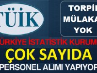 Türkiye İstatistik Kurumu Engelli ve Eski Hükümlü Kamu Personeli Alımı