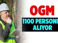 Orman Genel Müdürlüğü OGM 1150 Personel Alıyor