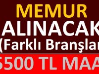 Bursa Osmangazi Belediyesi 15 memur alacak. Son başvuru tarihi 14 Haziran 2021.