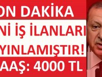 İstanbul Pendik Belediyesi iş başvurusu