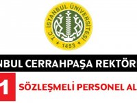 Cerrahpaşa Üniversitesi 131 Sözleşmeli Personel Alım İlanı