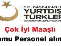 Yurtdışı Türkler ve Akraba Topluluklar Başkanlığı 2022 iş ilanı